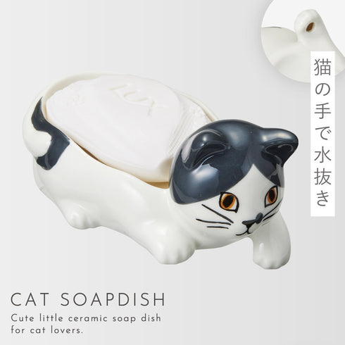 ソープディッシュ(猫)
